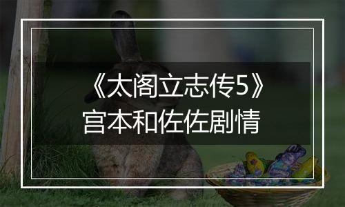 《太阁立志传5》宫本和佐佐剧情