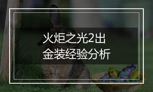 火炬之光2出金装经验分析