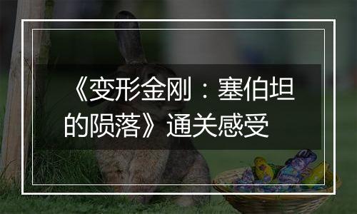 《变形金刚：塞伯坦的陨落》通关感受