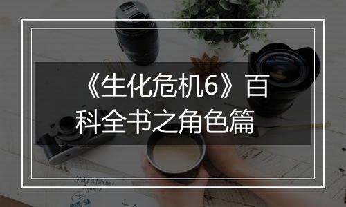 《生化危机6》百科全书之角色篇