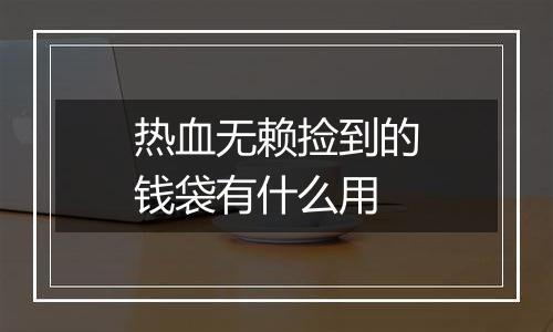 热血无赖捡到的钱袋有什么用