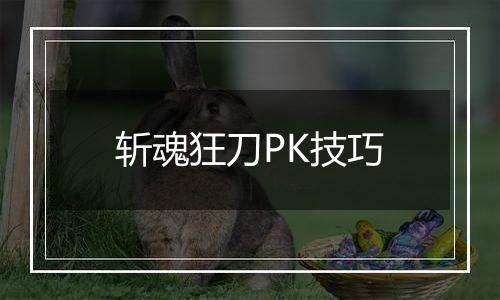 斩魂狂刀PK技巧