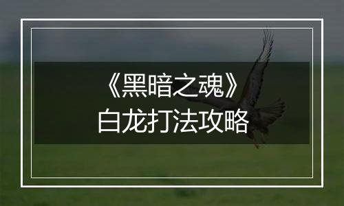 《黑暗之魂》白龙打法攻略