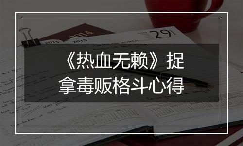 《热血无赖》捉拿毒贩格斗心得