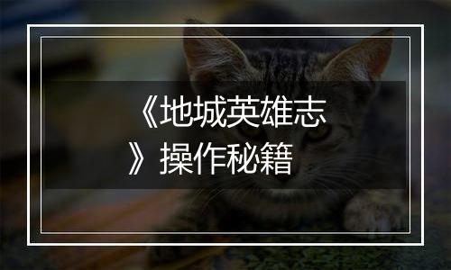 《地城英雄志》操作秘籍