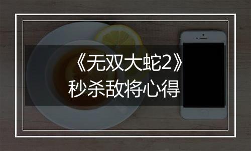 《无双大蛇2》秒杀敌将心得