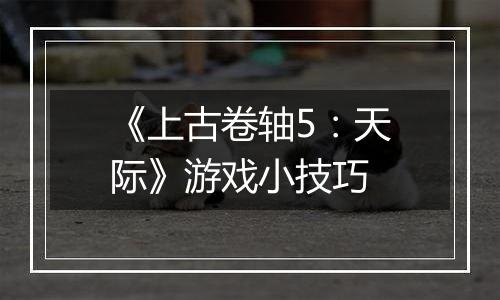 《上古卷轴5：天际》游戏小技巧