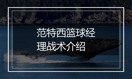 范特西篮球经理战术介绍