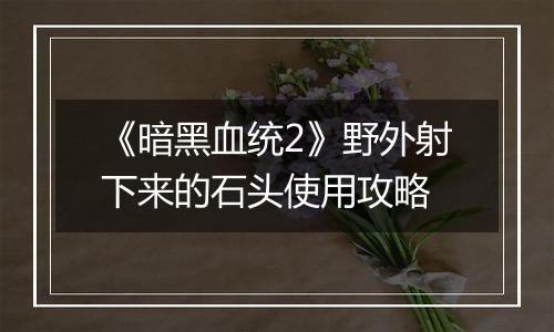 《暗黑血统2》野外射下来的石头使用攻略