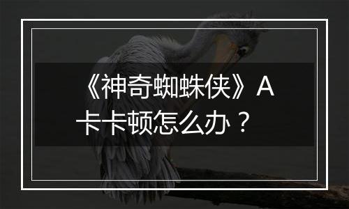 《神奇蜘蛛侠》A卡卡顿怎么办？