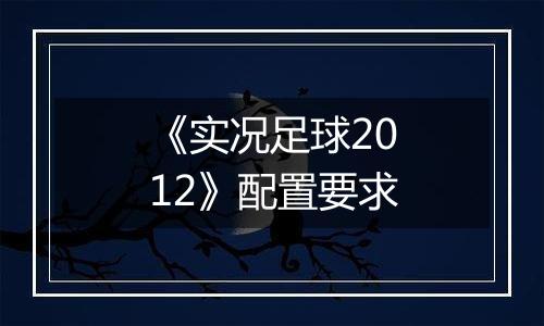 《实况足球2012》配置要求