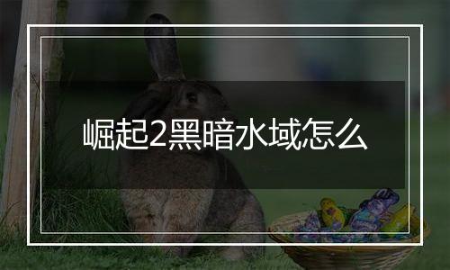 崛起2黑暗水域怎么