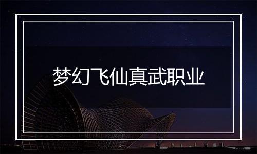 梦幻飞仙真武职业