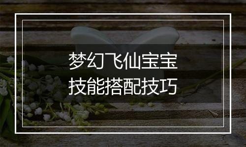 梦幻飞仙宝宝技能搭配技巧