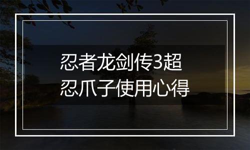 忍者龙剑传3超忍爪子使用心得