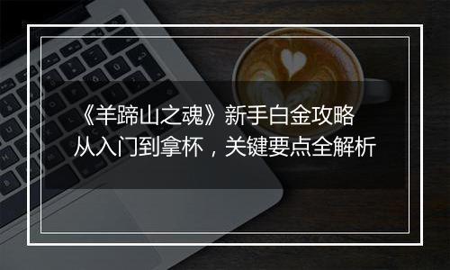 《羊蹄山之魂》新手白金攻略 从入门到拿杯，关键要点全解析