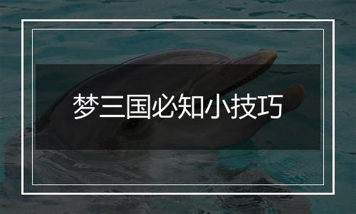 梦三国必知小技巧