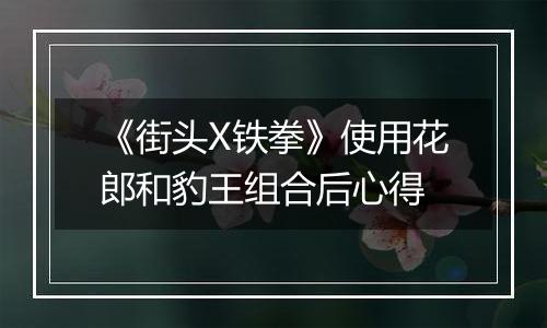 《街头X铁拳》使用花郎和豹王组合后心得