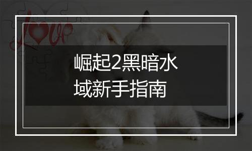 崛起2黑暗水域新手指南