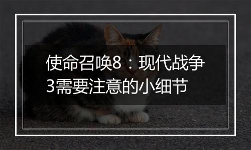 使命召唤8：现代战争3需要注意的小细节