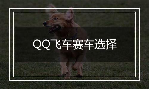 QQ飞车赛车选择