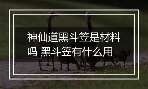 神仙道黑斗笠是材料吗 黑斗笠有什么用