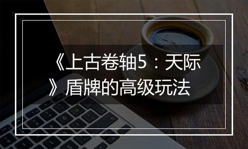 《上古卷轴5：天际》盾牌的高级玩法