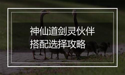 神仙道剑灵伙伴搭配选择攻略