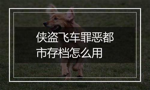侠盗飞车罪恶都市存档怎么用