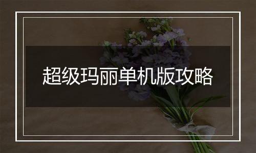 超级玛丽单机版攻略