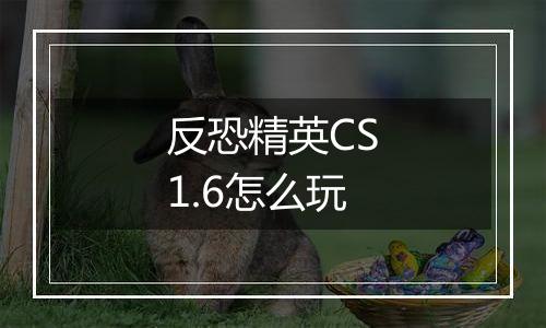 反恐精英CS1.6怎么玩