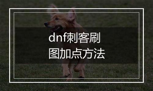 dnf刺客刷图加点方法