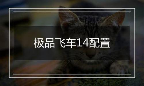 极品飞车14配置