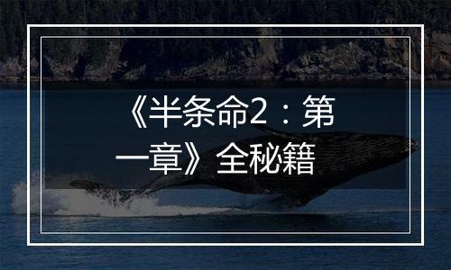 《半条命2：第一章》全秘籍