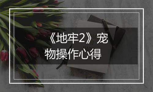 《地牢2》宠物操作心得