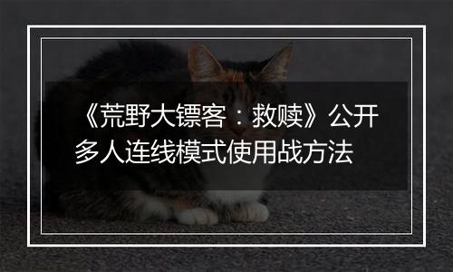 《荒野大镖客：救赎》公开多人连线模式使用战方法
