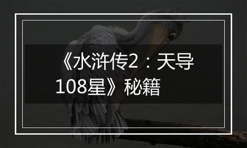 《水浒传2：天导108星》秘籍