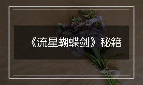 《流星蝴蝶剑》秘籍