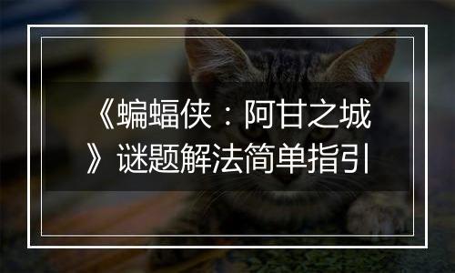 《蝙蝠侠：阿甘之城》谜题解法简单指引