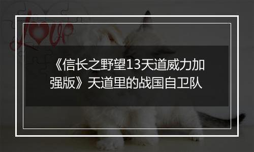 《信长之野望13天道威力加强版》天道里的战国自卫队