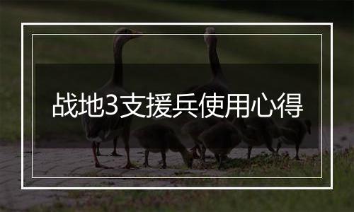 战地3支援兵使用心得