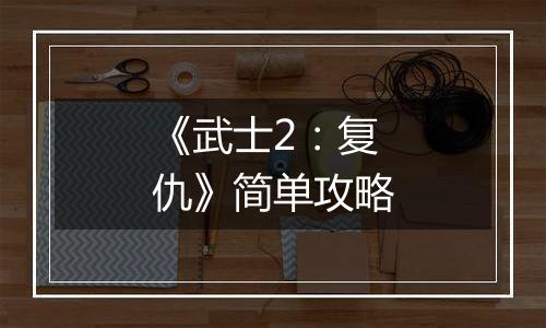 《武士2：复仇》简单攻略