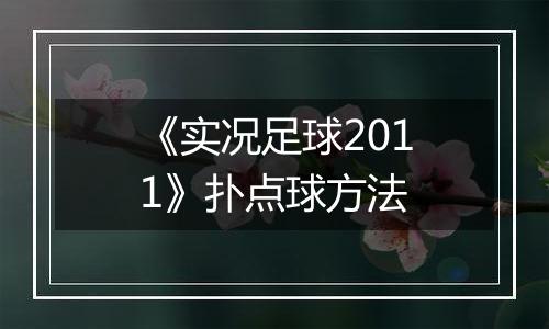 《实况足球2011》扑点球方法