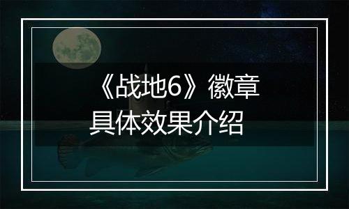 《战地6》徽章具体效果介绍