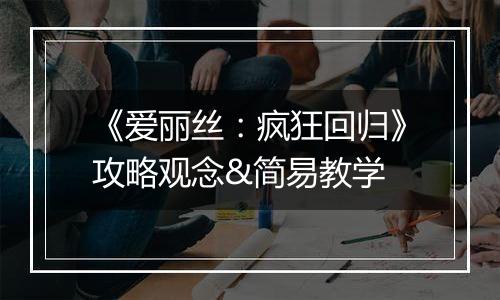 《爱丽丝：疯狂回归》攻略观念&简易教学