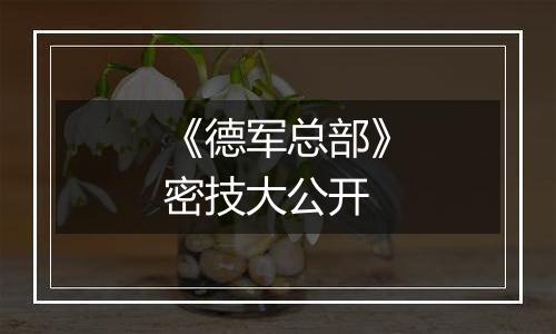《德军总部》密技大公开