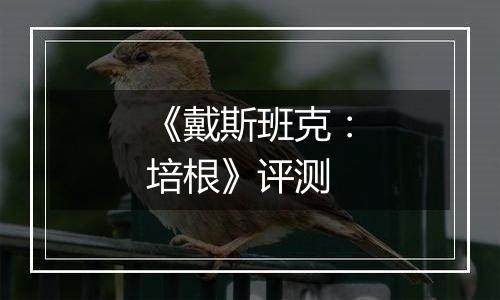 《戴斯班克：培根》评测