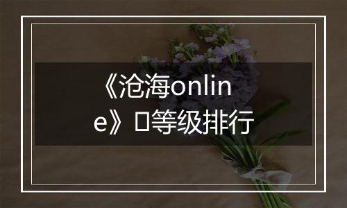 《沧海online》​等级排行