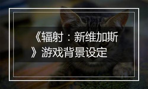 《辐射：新维加斯》游戏背景设定