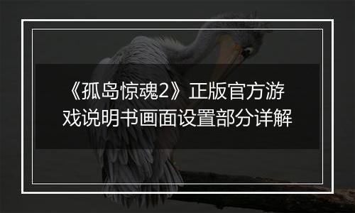 《孤岛惊魂2》正版官方游戏说明书画面设置部分详解
